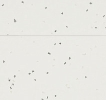 Forbo Sphera Evolution 50432 silver white фото 2 | FLOORDEALER